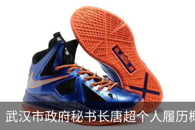 武汉市政府秘书长唐超个人履历概述